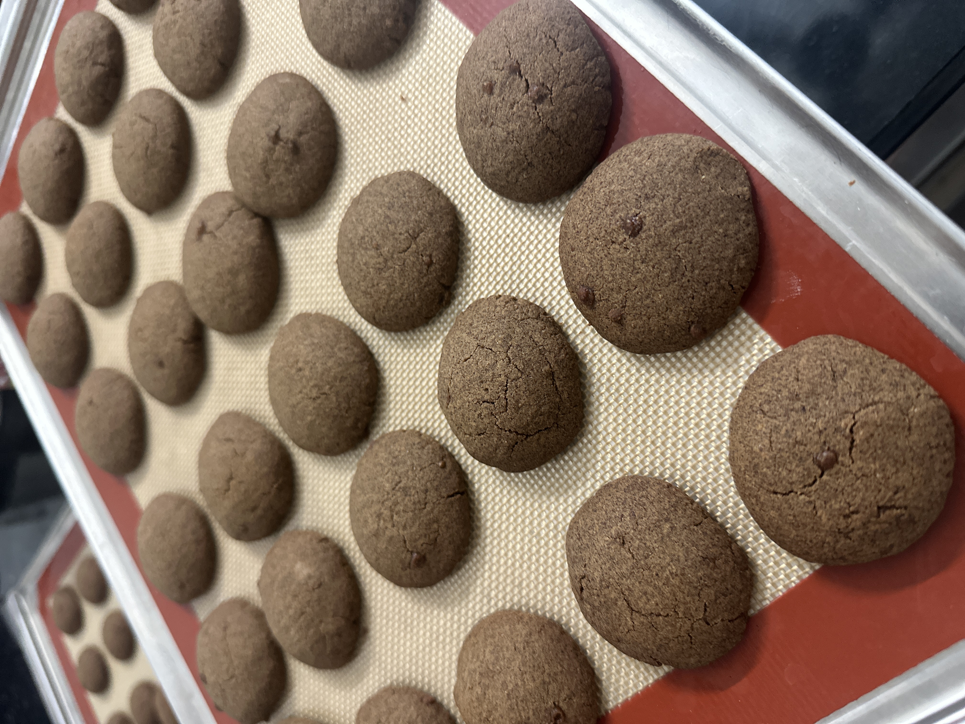 Ragi Biscuits